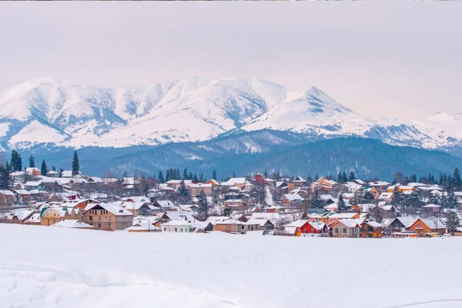 Tbilisi: Borjomi, Bakuriani & Kukushka Train Tour - The Historic Kukushka Train Ride through Scenic Landscapes