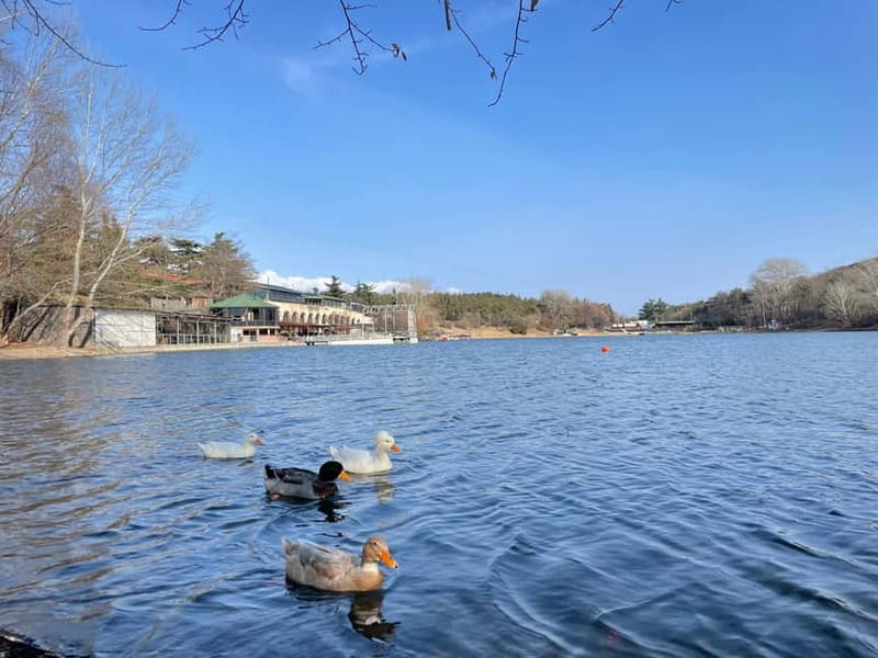 Tbilisi: Elegance of Traditional Architecture & Turtle Lake - Scenic Cable Car Ride to Turtle Lake and Its Surroundings