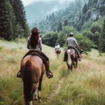 Tbilisi:3-Day Tour to Gudauri and Kazbegi with hotel pick up - Starting Point and the First Stops: Jinvali Water Reservoir and Ananuri Castle