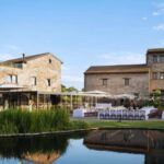 Teano: Biodynamic Winery Experience with 4-Course Meal - Key Points