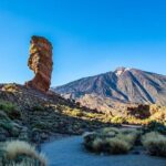 Teide-Icod-Garachico-Masca (Most popular bus tour in Tenerife) - Practical Details of the Tour Experience