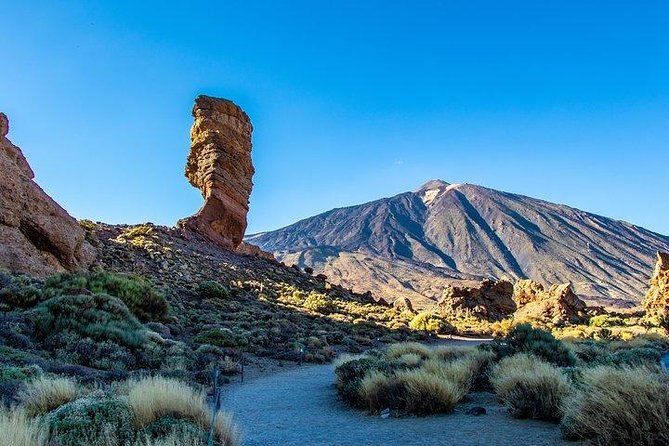 Teide-Icod-Garachico-Masca (Most popular bus tour in Tenerife) - Practical Details of the Tour Experience