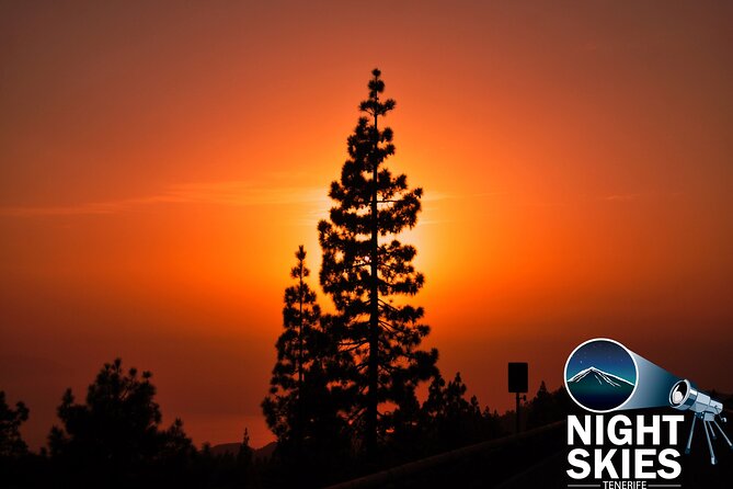 Teide National Park Sunset & Stargazing with Dinner (Star Safari) - Starting Point: Hotel Transfers from Los Cristianos