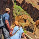Tenerife: Anaga Hiking Tour & Enchanted Forest with Pickup - Pickup from Southeast Tenerife and Scenic Drive to Anaga