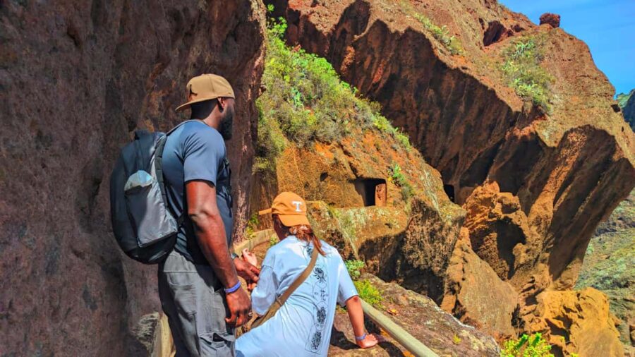 Tenerife: Anaga Hiking Tour & Enchanted Forest with Pickup - Pickup from Southeast Tenerife and Scenic Drive to Anaga