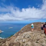 Tenerife: Anaga, Laurel Forest Guided Hike + Canarian Food - Starting Point at Bosque Encantado and Meeting Logistics