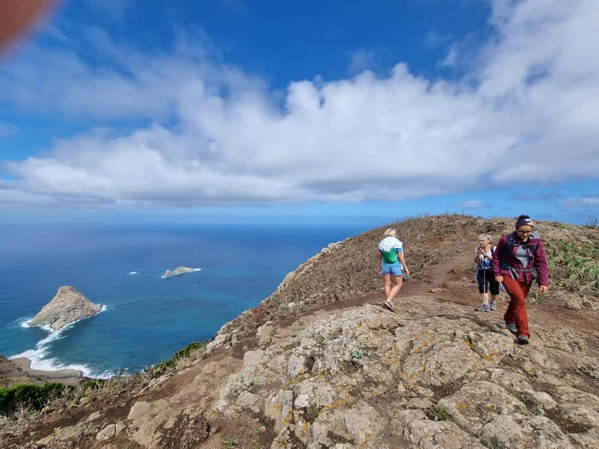 Tenerife: Anaga, Laurel Forest Guided Hike + Canarian Food - Starting Point at Bosque Encantado and Meeting Logistics