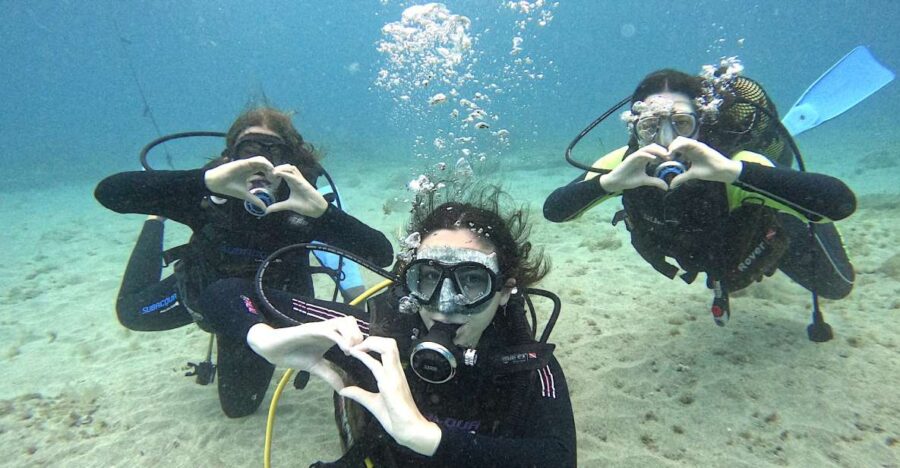 Tenerife: Beginner's Dive at a Spot with Turtle Sightings - Scenic Speedboat Ride Along Tenerife’s Southern Coast