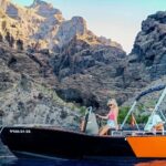Tenerife: Discover Los Gigantes While Navigating a Boat - What the Boat Is Equipped With