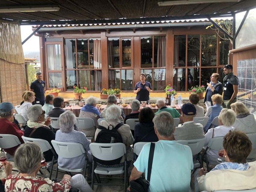 Tenerife: Flavours and Wines of Tenerife Gastronomy Tour - Picking Up in South Tenerife: Convenient Meeting Points