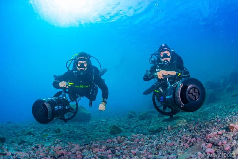 Tenerife: Guided Dive and Scooter Experience - Tenerife’s Underwater World Awaits at Radazul
