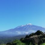 Tenerife: Guided Horseback Riding Tour to the Lomo Forest - Starting Time and Group Size for a Personal Experience