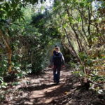 Tenerife: Guided tour guide in the Anaga Rural Park - Exploring the Laural Forest of Anaga