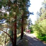 Tenerife: Hiking Above the Village of Masca - Scenic Views of the Masca Gorge and Surrounding Valleys