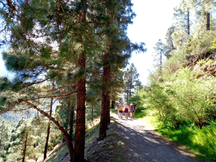 Tenerife: Hiking Above the Village of Masca - Scenic Views of the Masca Gorge and Surrounding Valleys