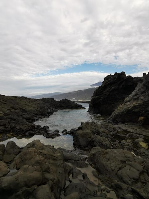 Tenerife Island, The Best Day Tour FOR CRUISE PASSENGERS - Starting Points and Transportation Logistics