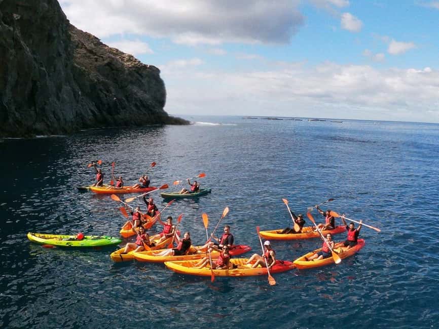 Tenerife: Kayak & Snorkeling, Marine Fauna Watching - The Experience of Snorkeling and Wildlife Viewing in Tenerife