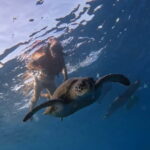 Tenerife: kayak tour with animals and underwater scooters - Tenerife Kayak Tour: Starting Points and Locations