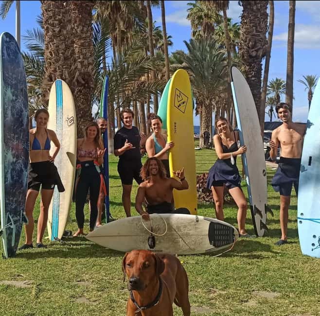 Tenerife: Paddle Surf Experience in Playa de las Américas - What Makes This Paddle Surf Tour Unique in Tenerife