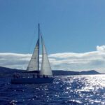 Tenerife: Private or Group 3 Hour Sailing Cruise with Drinks - Starting Point at Puerto Colon in Adeje