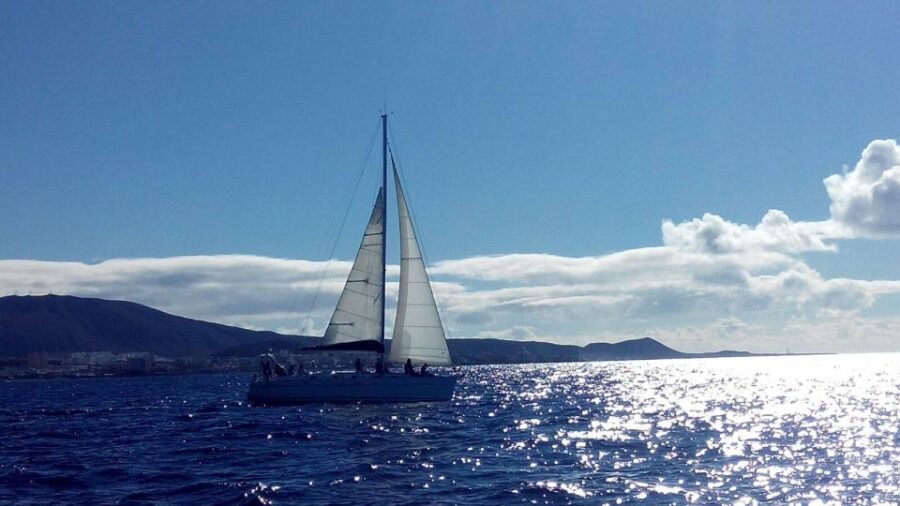 Tenerife: Private or Group 3 Hour Sailing Cruise with Drinks - Starting Point at Puerto Colon in Adeje