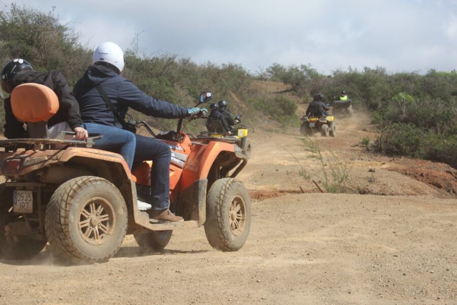 Tenerife: Quad Bike Off-Road Adventure - Starting Point Near Arona for Easy Access