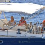 Tenerife: Sailing Excursion with Whale and Dolphin Watching - Departing from Puerto Colón at Pantalán Zero