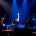 Tenerife: Scandal Dinner Show Entry Ticket and 5-Course Meal - What is Included in the Ticket: Dinner, Drinks, and Show