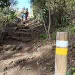 Tenerife: Senderismo Anaga, Bosque Mágico, Reserva Biosfera - Discovering Tenerife’s UNESCO-Listed Bosque Mágico