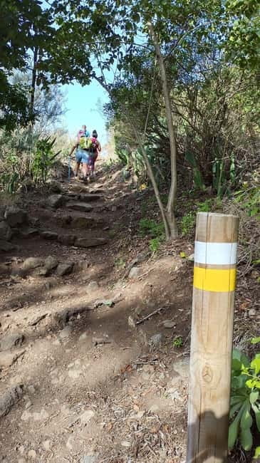 Tenerife: Senderismo Anaga, Bosque Mágico, Reserva Biosfera - Discovering Tenerife’s UNESCO-Listed Bosque Mágico
