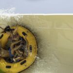 Tenerife: Siam Park All-Inclusive Entry Ticket - Key Points