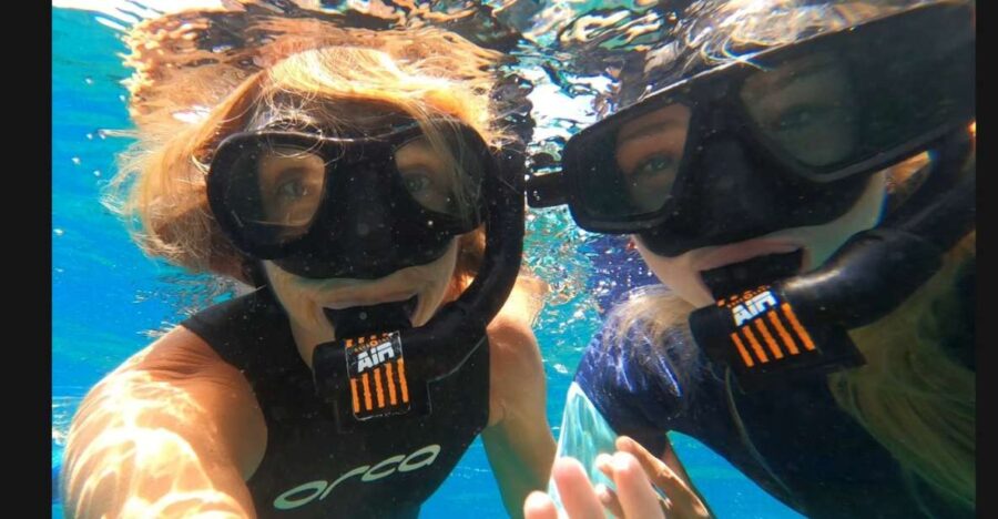 Tenerife: Snorkeling Tour in a Marine Protected Area - Meet at Magilu and What to Expect at Check-in