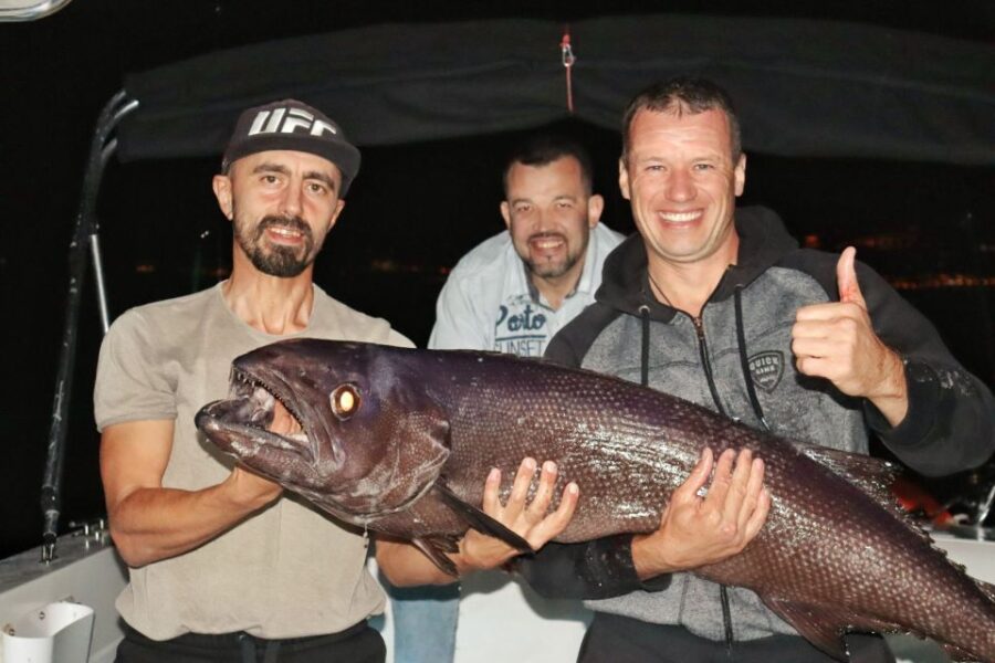 Tenerife: South Island Boat-Trip and Sea Excursion - Fast, Fun, and Family-Friendly 3-Hour Boat Ride