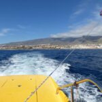 Tenerife South: Parascending Experience with Boat Ride - Starting Point and How the Tour Begins