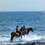 Tenerife South: Private Horseback Riding to the Coast - The Scenic Route to the Black Sand Beach