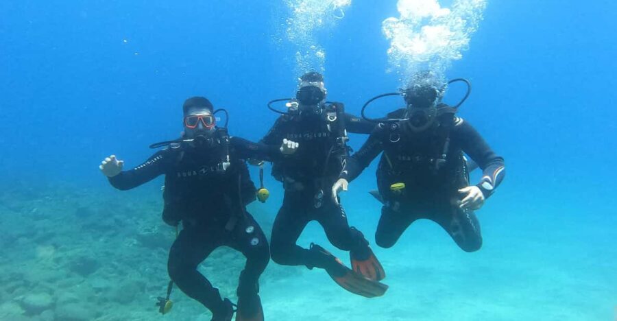 Tenerife south: Scuba Dive for beginners in Adeje - Tenerife’s Southern Waters as a Diving Playground