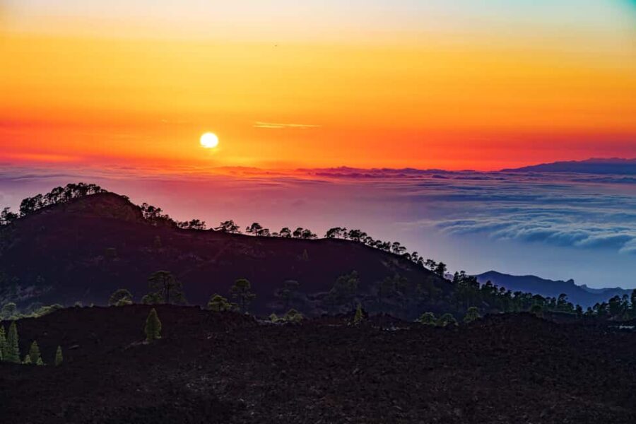 Tenerife: Teide Mountain Buggy On-Road GuidedTour with drink - Starting Point at Hub Excursions in Chío