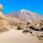Tenerife: Teide National Park Full-Day Tour with Pickup - Exploring the Unique Terrain of Teide National Park