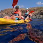 Tenerife: Turtle & Dolphin Kayak Tour with Snorkel & Wetsuit - Starting Point and Booking Info