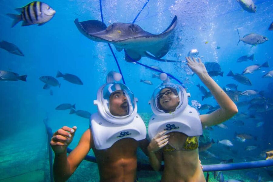 Tenerife: Underwater Walk - Sea Trek Experience - Meeting Point and Logistics in Los Cristianos