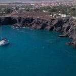 Tenerife: Whale and Dolphin Watching Boat Tour - Starting Point: Marina del Sur in Las Galletas