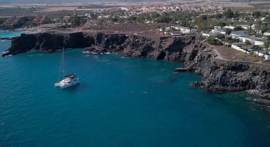 Tenerife: Whale and Dolphin Watching Boat Tour - Starting Point: Marina del Sur in Las Galletas