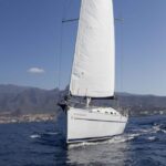 Tenerife: Whale and Dolphin Watching Tour by Sailboat - Starting Point at Puerto Colón: Easy Access and Convenient Meeting