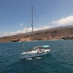 Tenerife Whale Watching and Snorkeling Yacht Trip - Wildlife Viewing: Whales, Dolphins, and Turtles