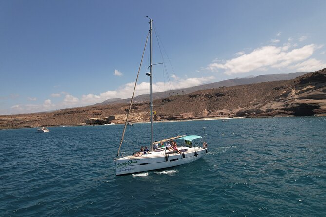 Tenerife Whale Watching and Snorkeling Yacht Trip - Wildlife Viewing: Whales, Dolphins, and Turtles