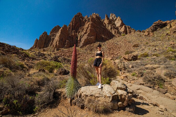 Tenerife Wonder Walk - Exploring the Anaga Rural Park