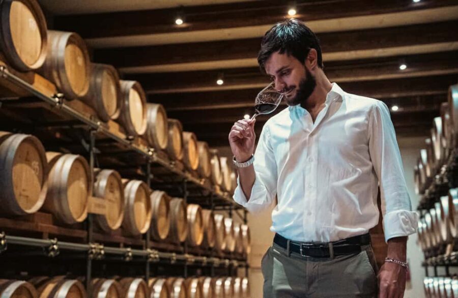 Tenuta Bonzara - Tour and wine tasting in the Bolognese Hills - Visiting the Vineyards and Vineyard Techniques at Tenuta Bonzara