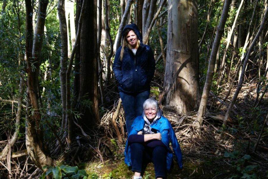 Terceira Island: Full-Day Mud Adventure & Traditional Lunch - The Thrill of Riding in Jeep Vehicles on Muddy Terrain