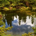 Terceira Island: Mistérios Negros Hiking - Starting from Your Hotel in Angra do Heroísmo or Praia da Vitória