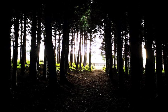 Terceira Island Private Tour: Full-Day - Visiting Monte Brasil: A Panoramic Viewpoint